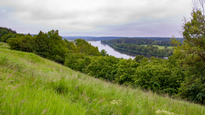 Daugavas ieleja_Andris Soms