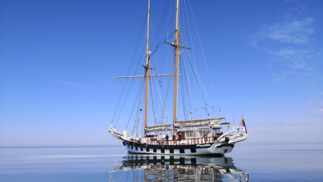 Burukuģi “Brabander”