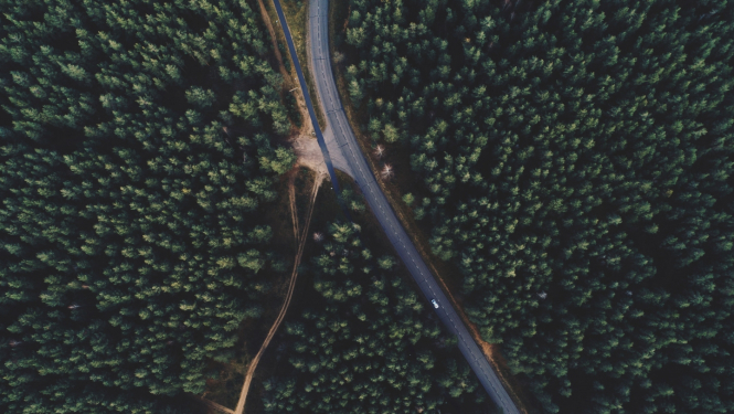 Ceļš, Latvijas daba