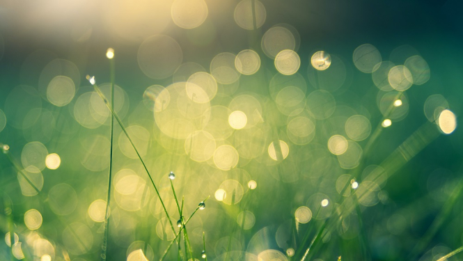 Ilustratīvs attēls