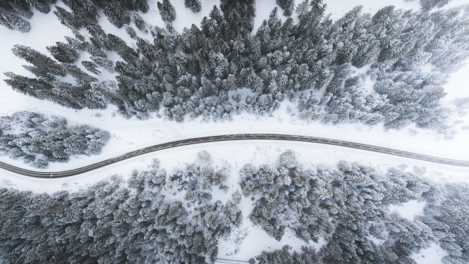 Ziemas ainava, attēlam ir ilustratīva nozīme