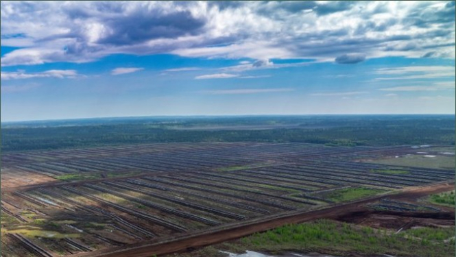 Ilustratīvs attēls