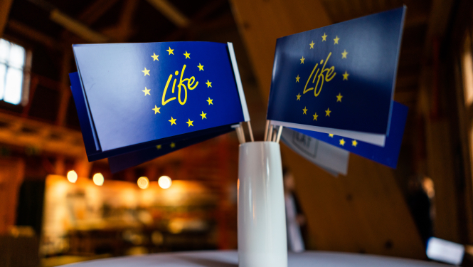 Karodziņi ar LIFE logo