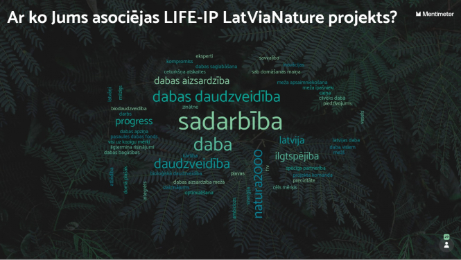 Vārdu mākonis, kas izveidojās no partneru atbildēm uz jautājumu.