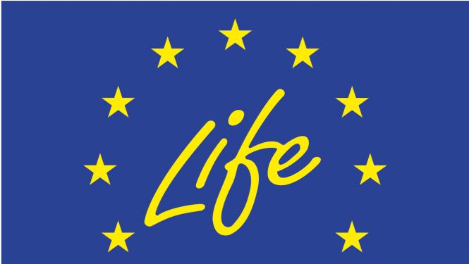Life logo