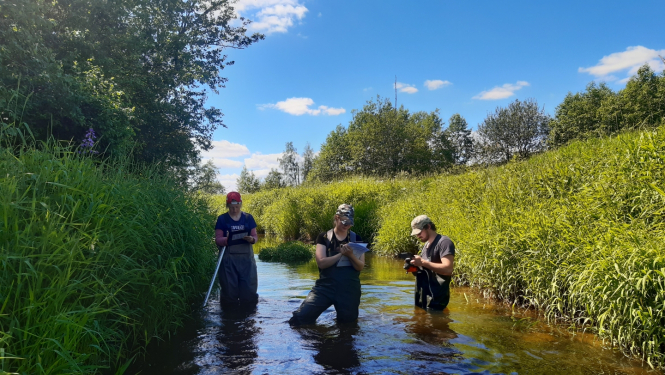 Latvijas upju baseinu apsaimniekošana
