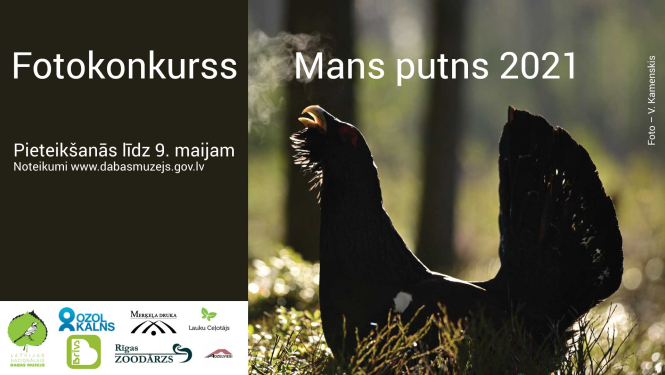 Fotokonkurss Mans putns 2021