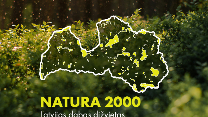 Natura plakāts