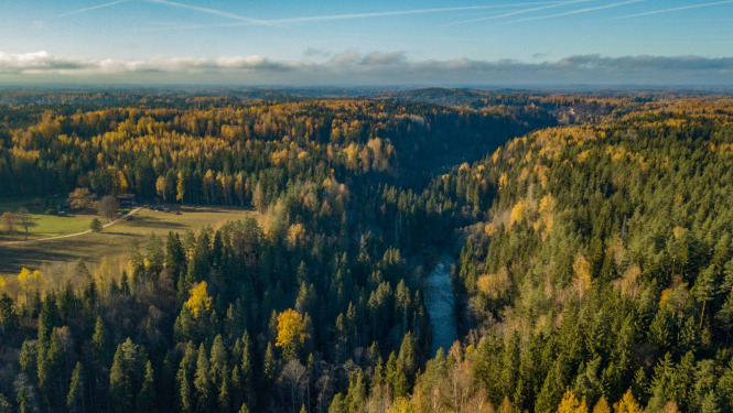 Skats uz Gauju no putna lidojuma