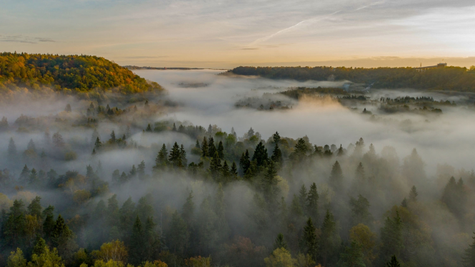 Gauajs Naicionālā parks