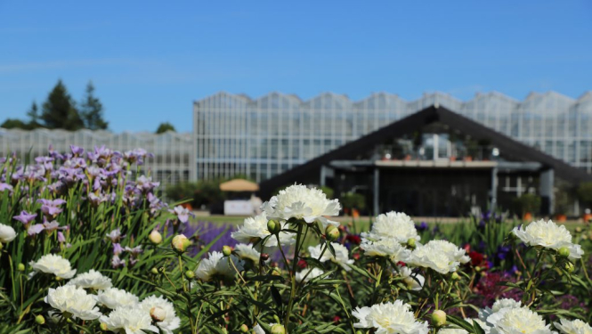 Latvijas Nacionālais botāniskais dārzs