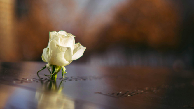 Kapsēta, zieds uz kapakmeņa