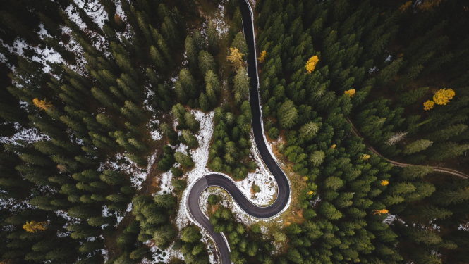 ceļš no putna lidojuma