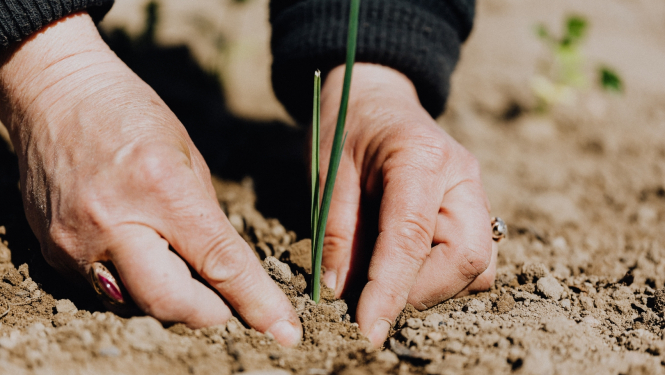Ilustratīvs attēls