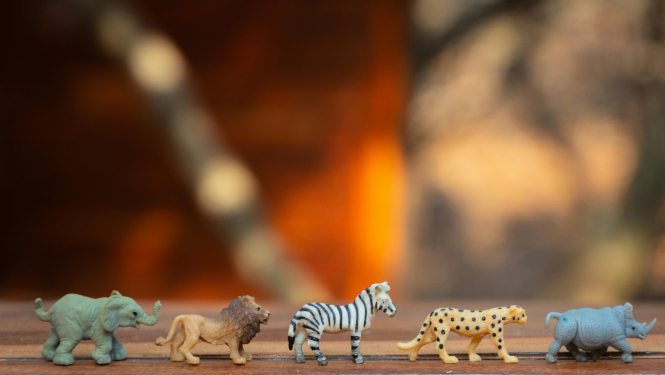 savvaļas zvēru figūriņas