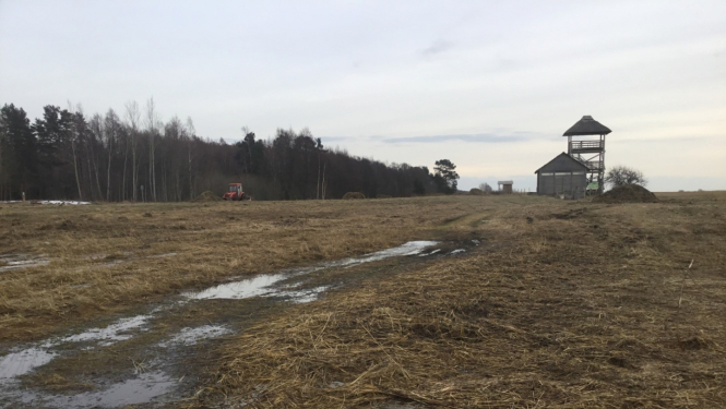 Ganību platības sagatavošana Randu pļavās 