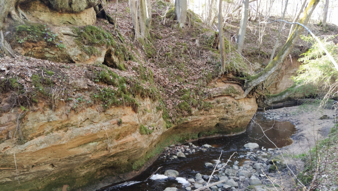 Vīdales kraujas, leju un upju gravas