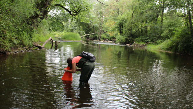 saldudens apsekojums