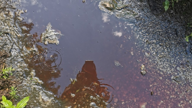 ūdens piesārņojums