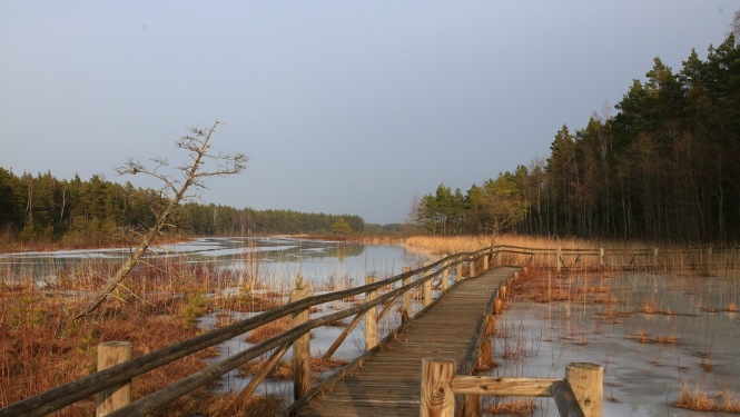 Slīteres Nacionālā parka laipa