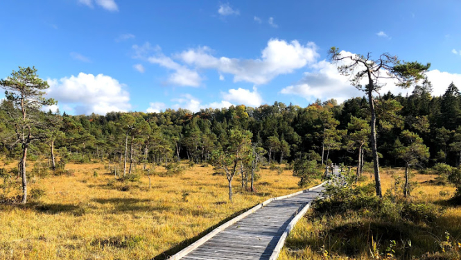 Šlīteres dabas taka