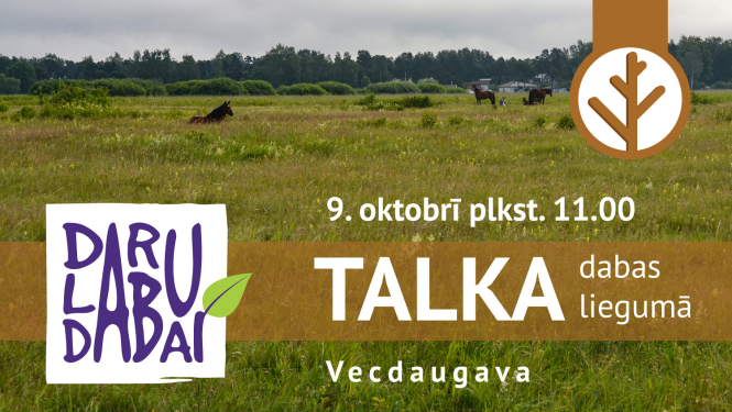 Talka