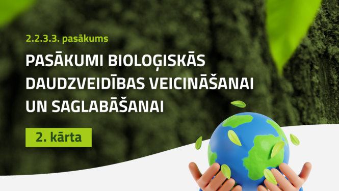 Ilustratīvs attēls