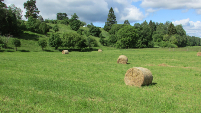 Zvejnieku tilta nogāze