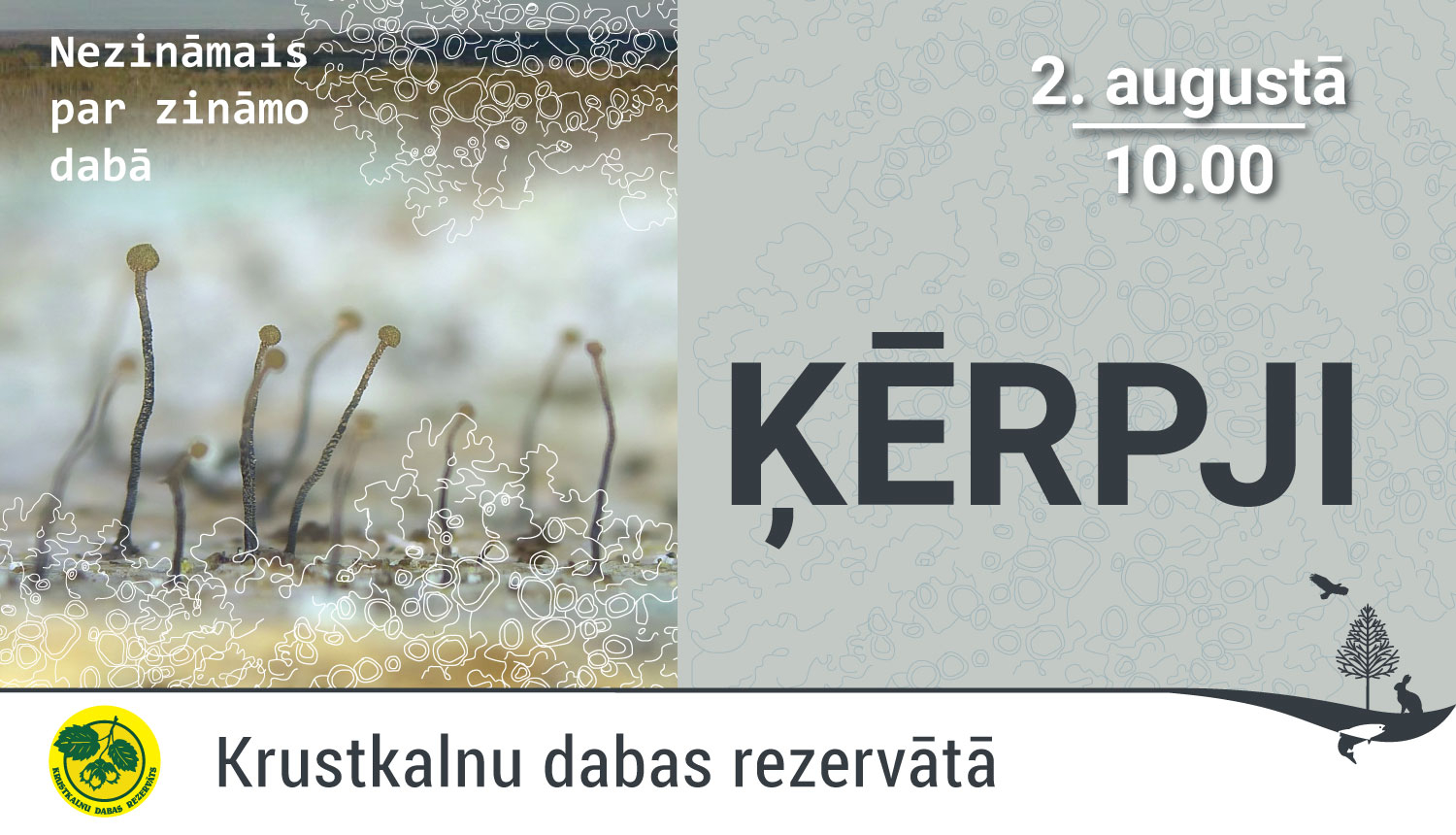 Ilustratīvs attēls