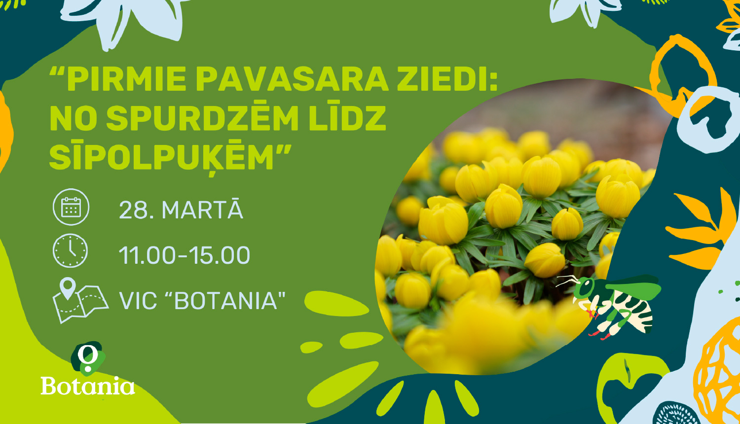 Pirmie pavasara ziedi