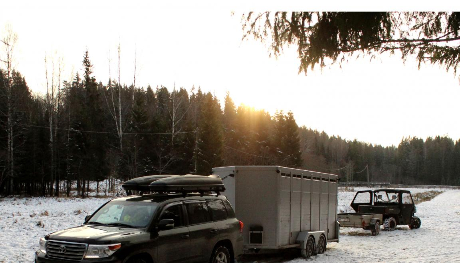 Aļņi pamet Latviju