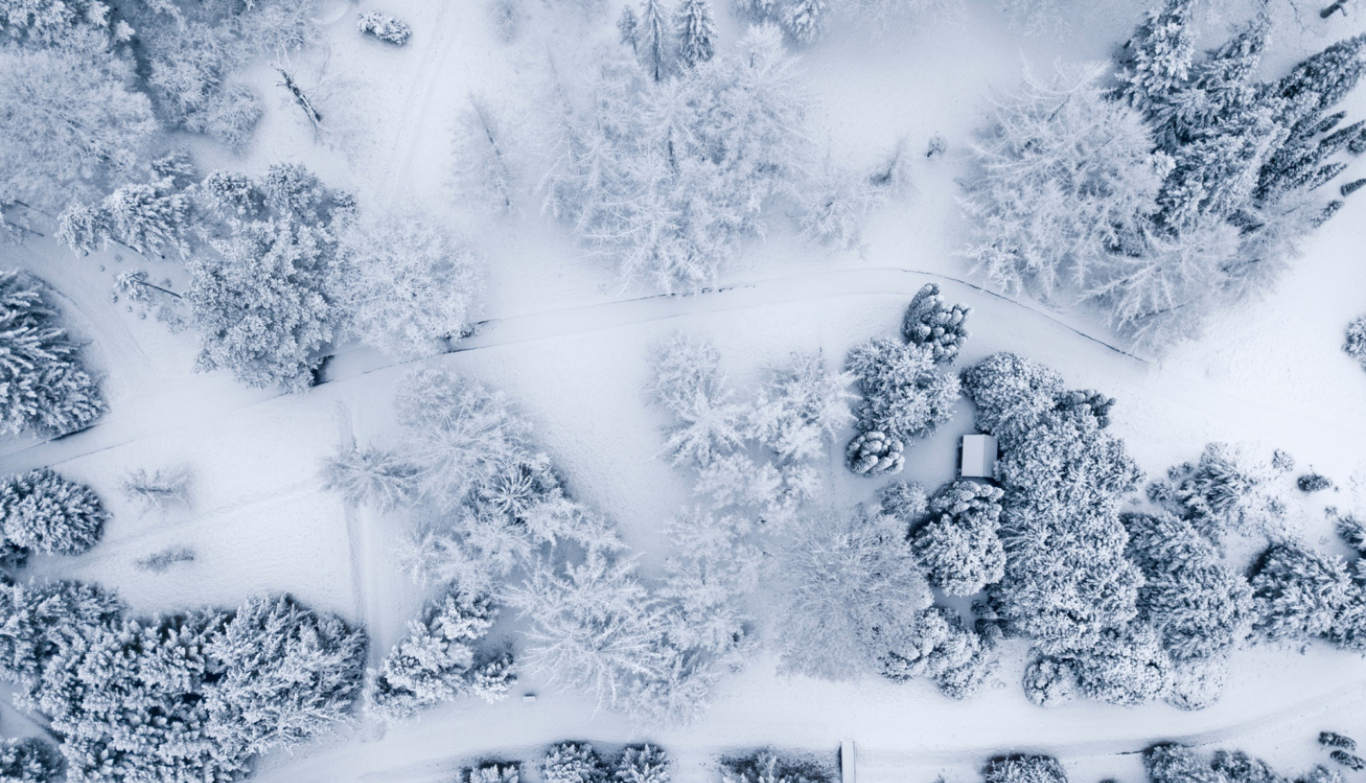 Latvijas Nacionālais botāniskais dārzs