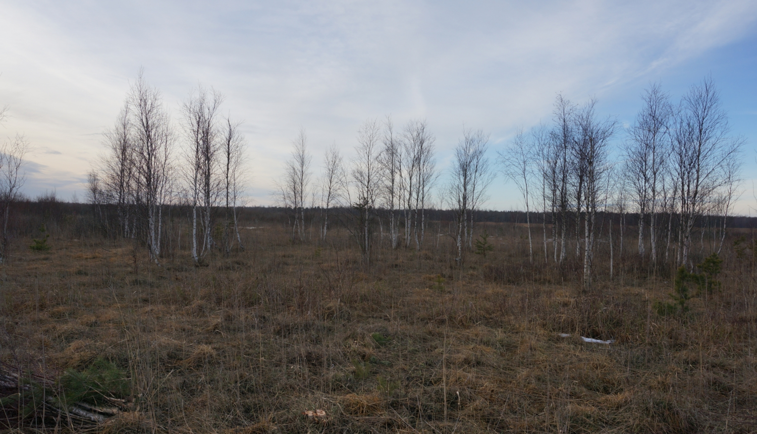 Dabas liegums Tosmare