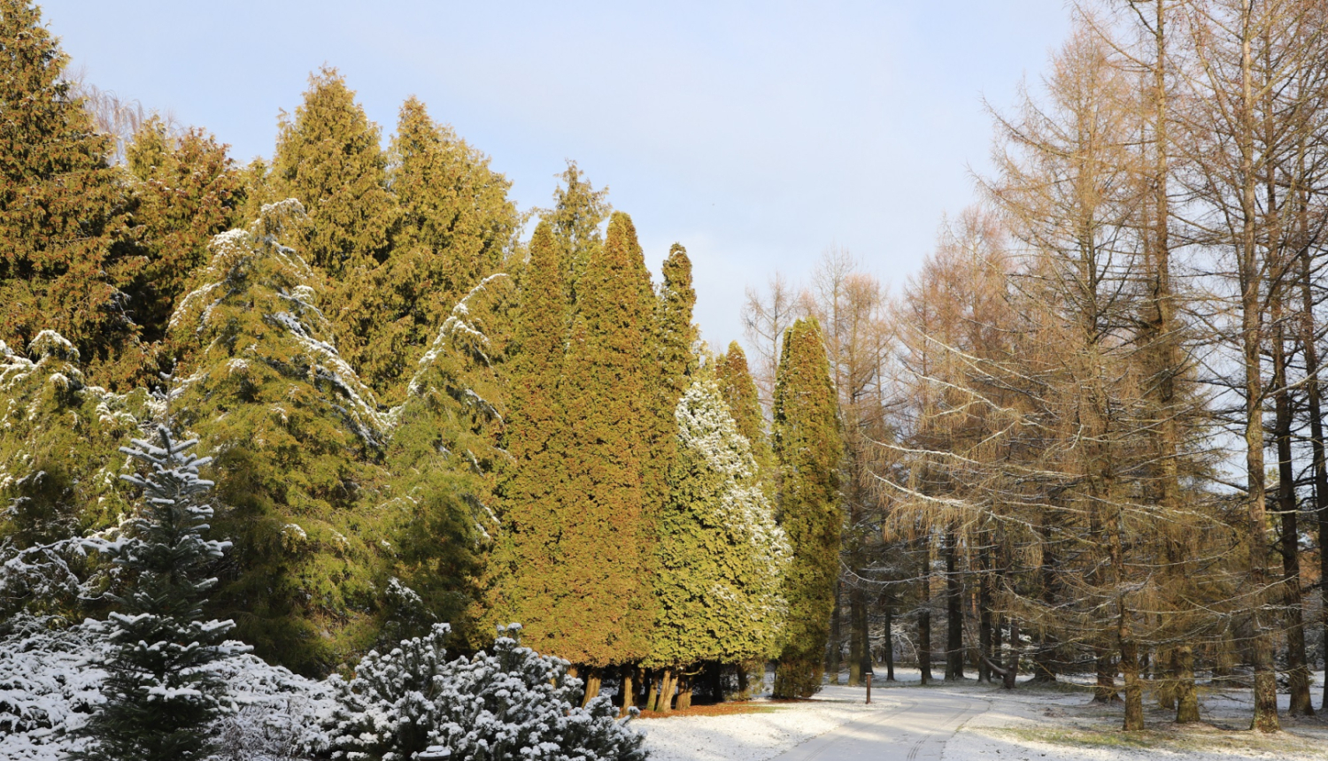 Latvijas Nacionālais botāniskais dārzs