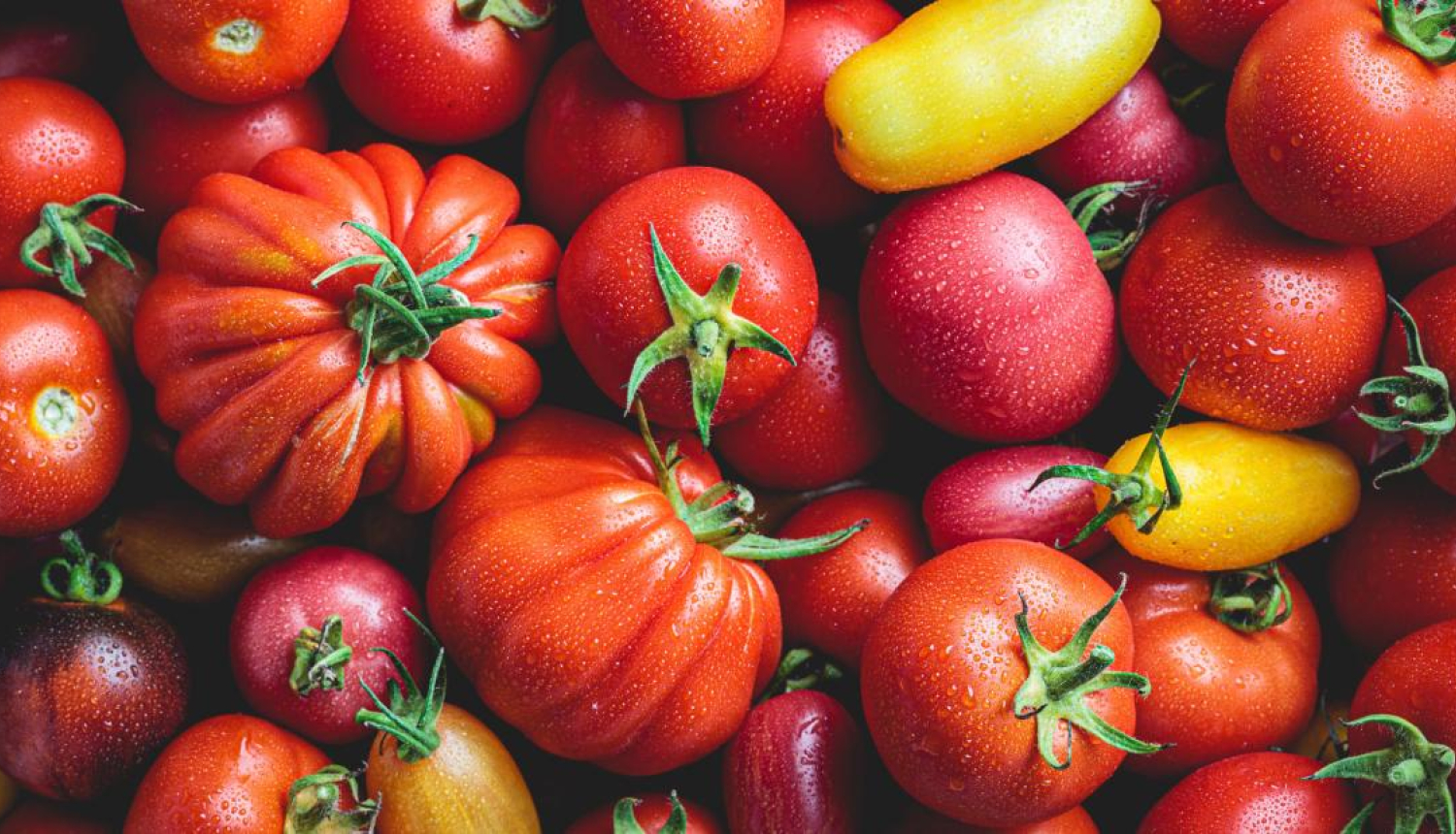 Tomāti