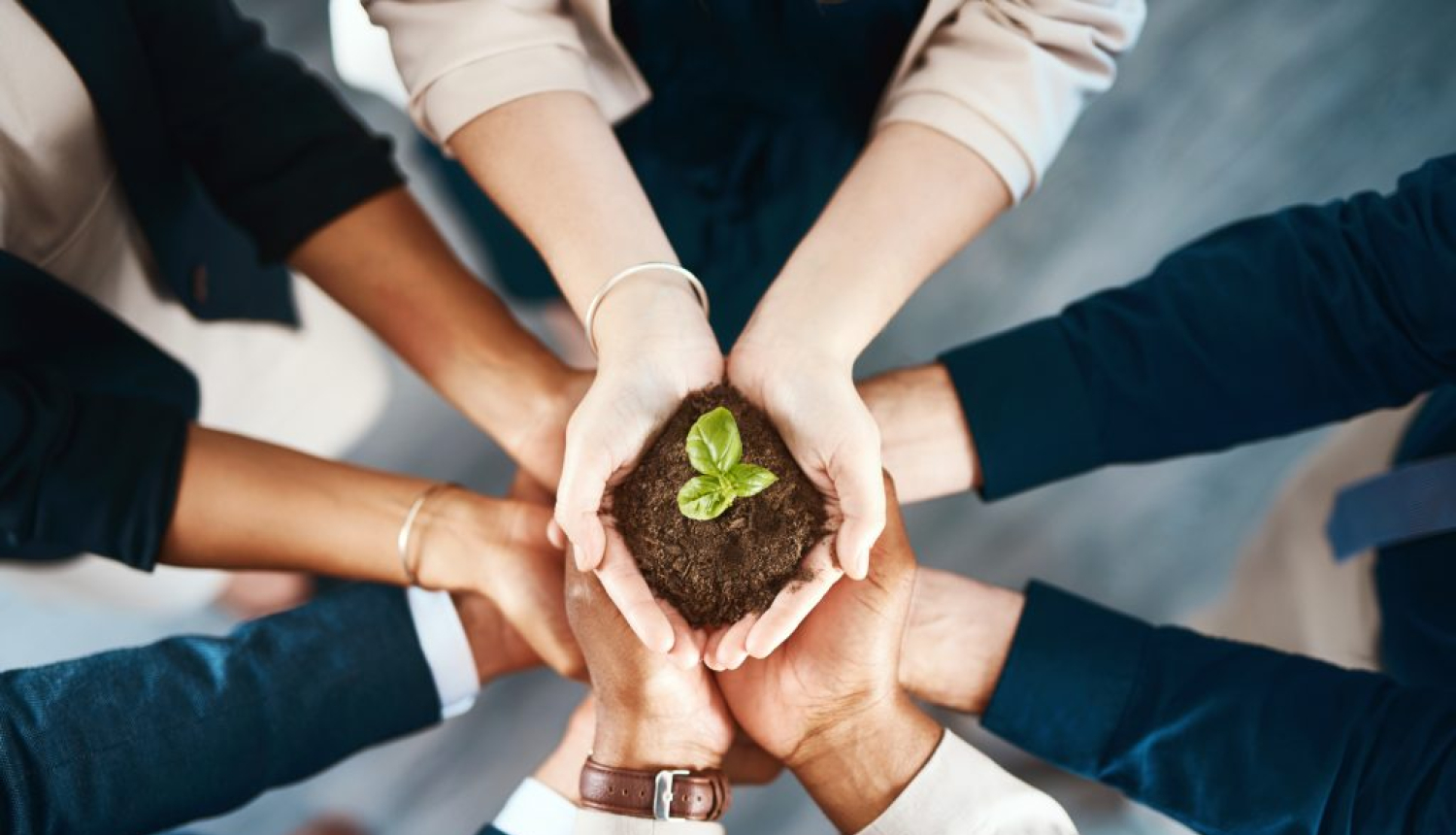 Kolektīva plaukstas, kas tur zemi ar dīkstu