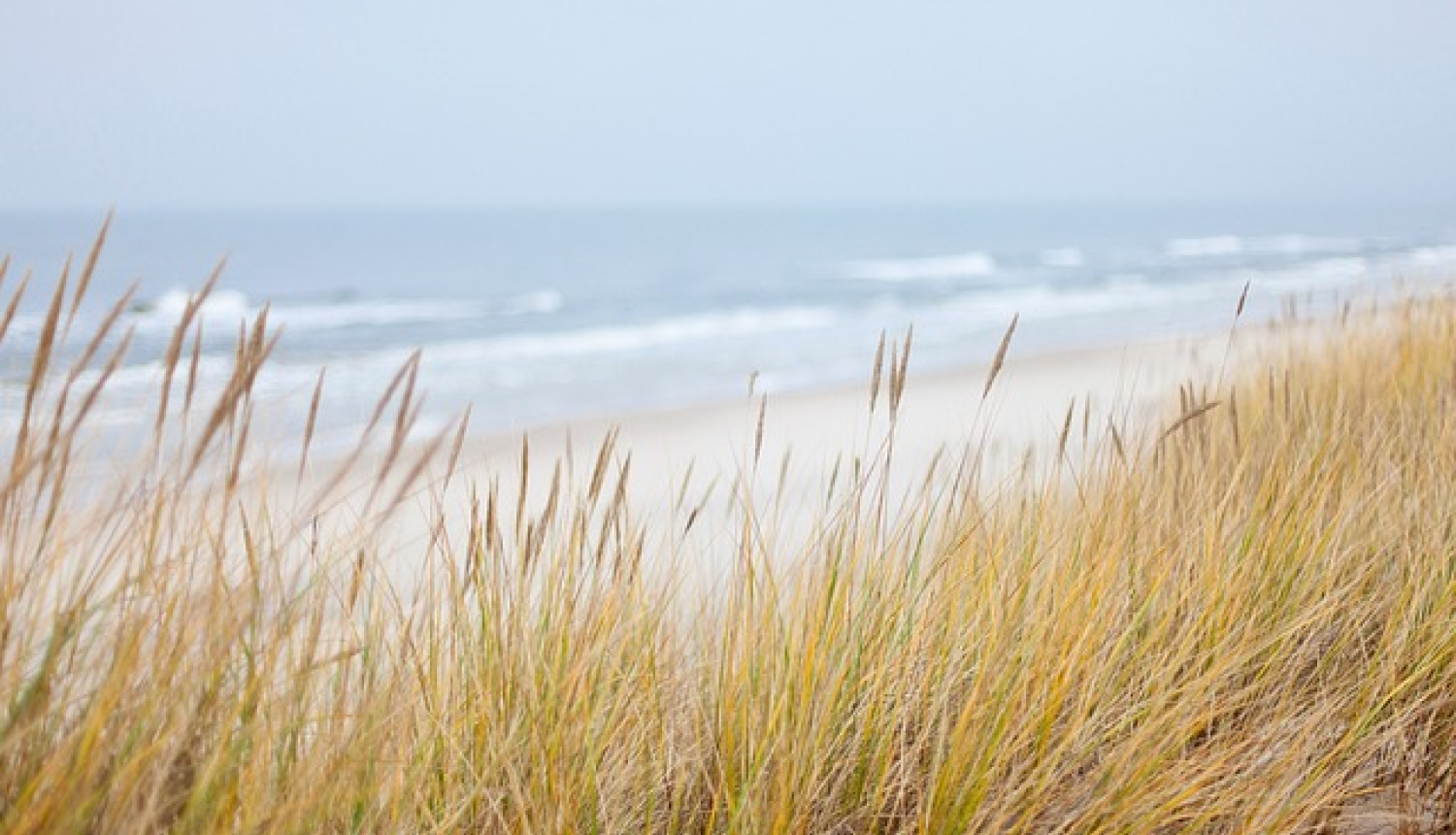 Baltijas jūras piekraste