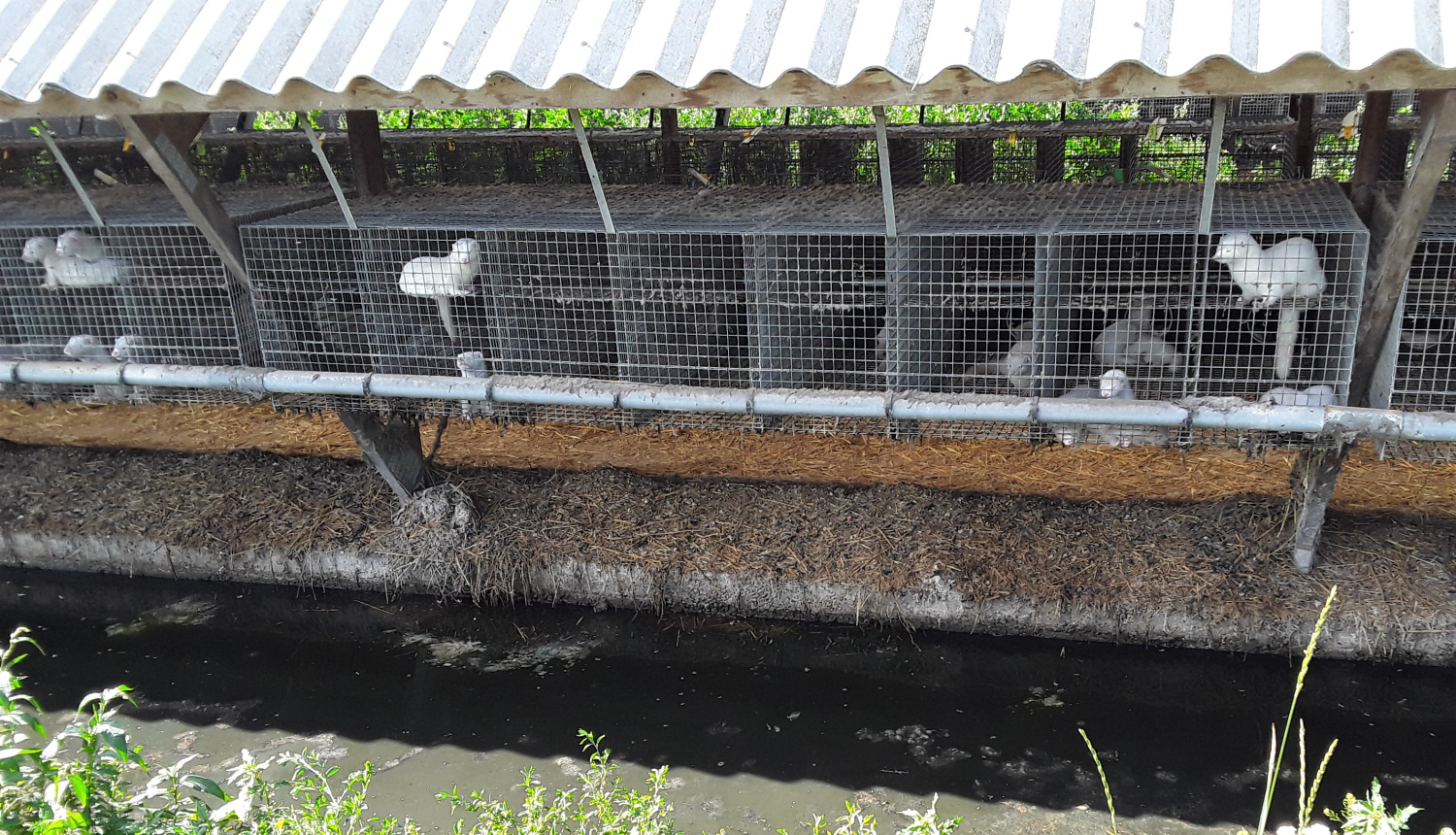 Dzīvnieku novietnes 