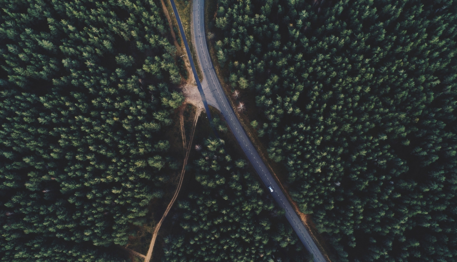 Ceļš, Latvijas daba