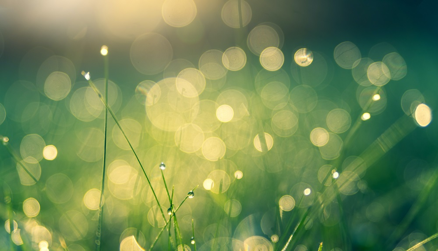 Ilustratīvs attēls