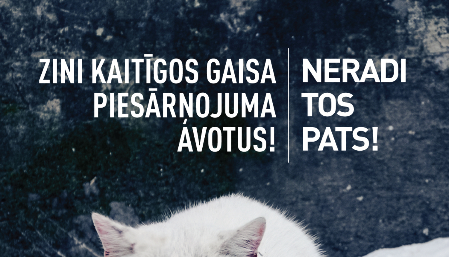 Gaisa kampaņas vizuālis