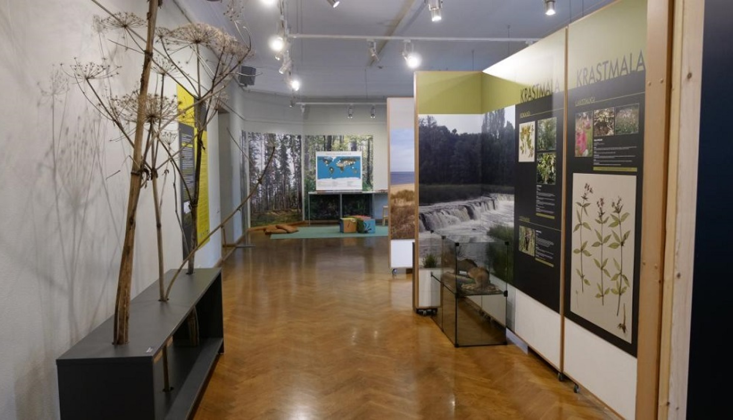 Latvijas Nacionālais dabas muzejs