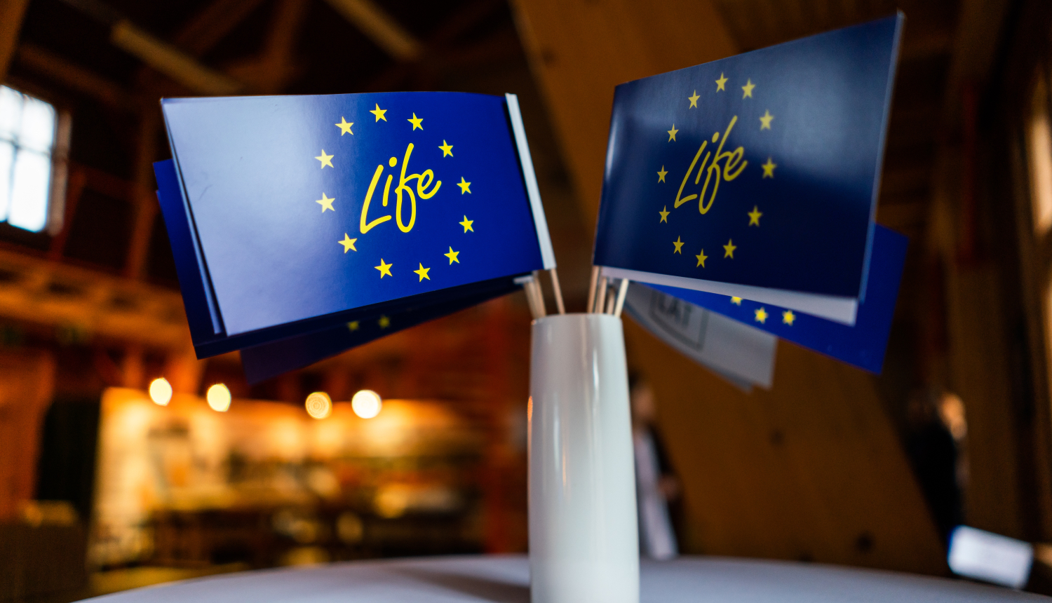 Karodziņi ar LIFE logo