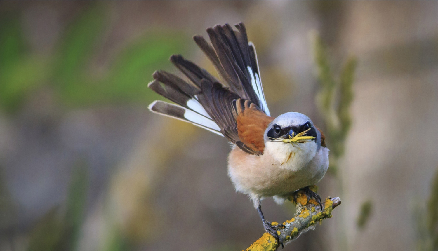 "Mans putns 2022". Foto: A Kurockins