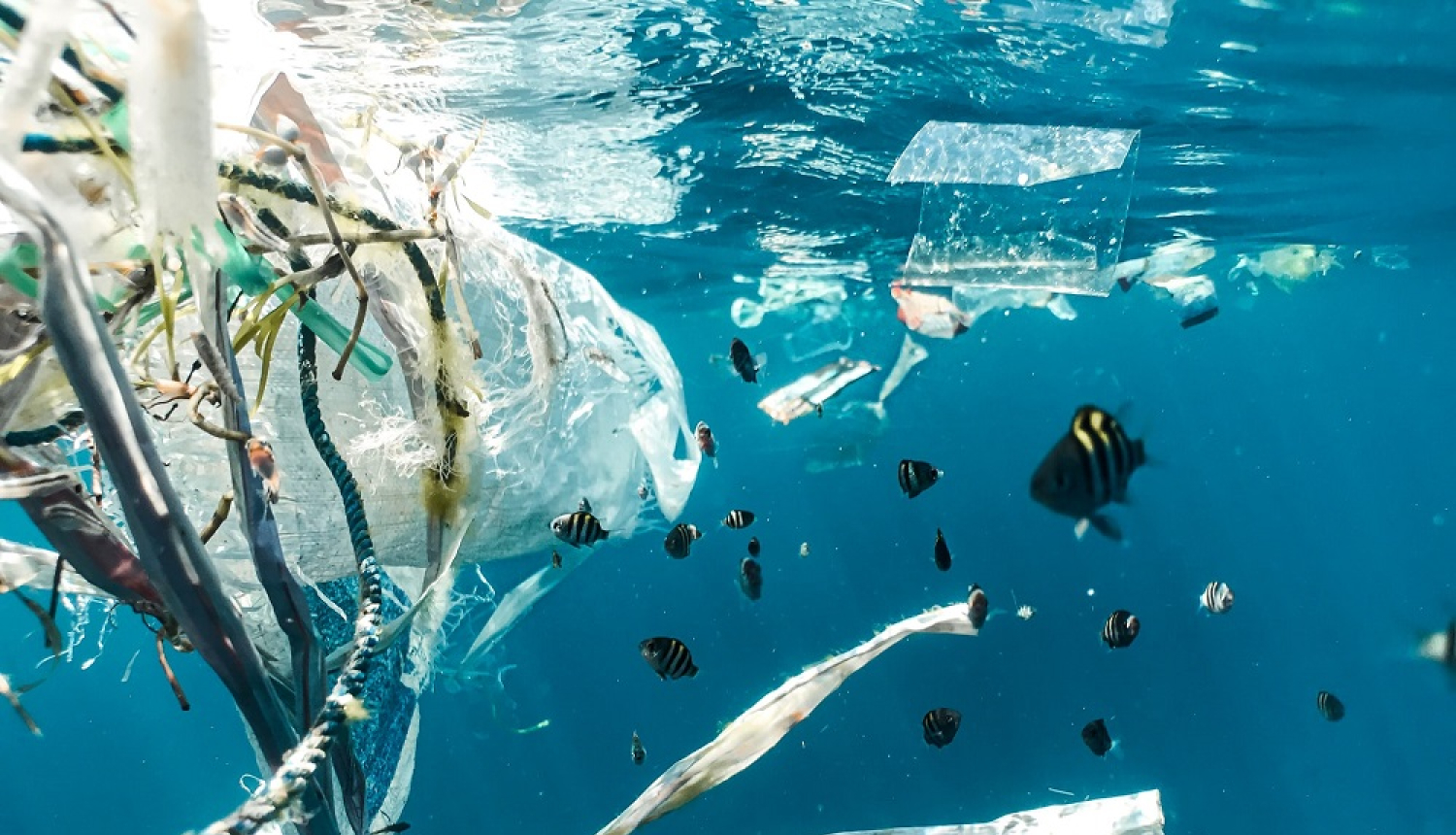 Okeāna piesārņojums