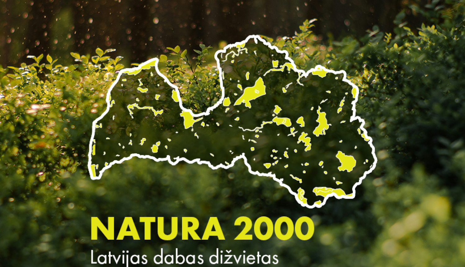 Natura plakāts