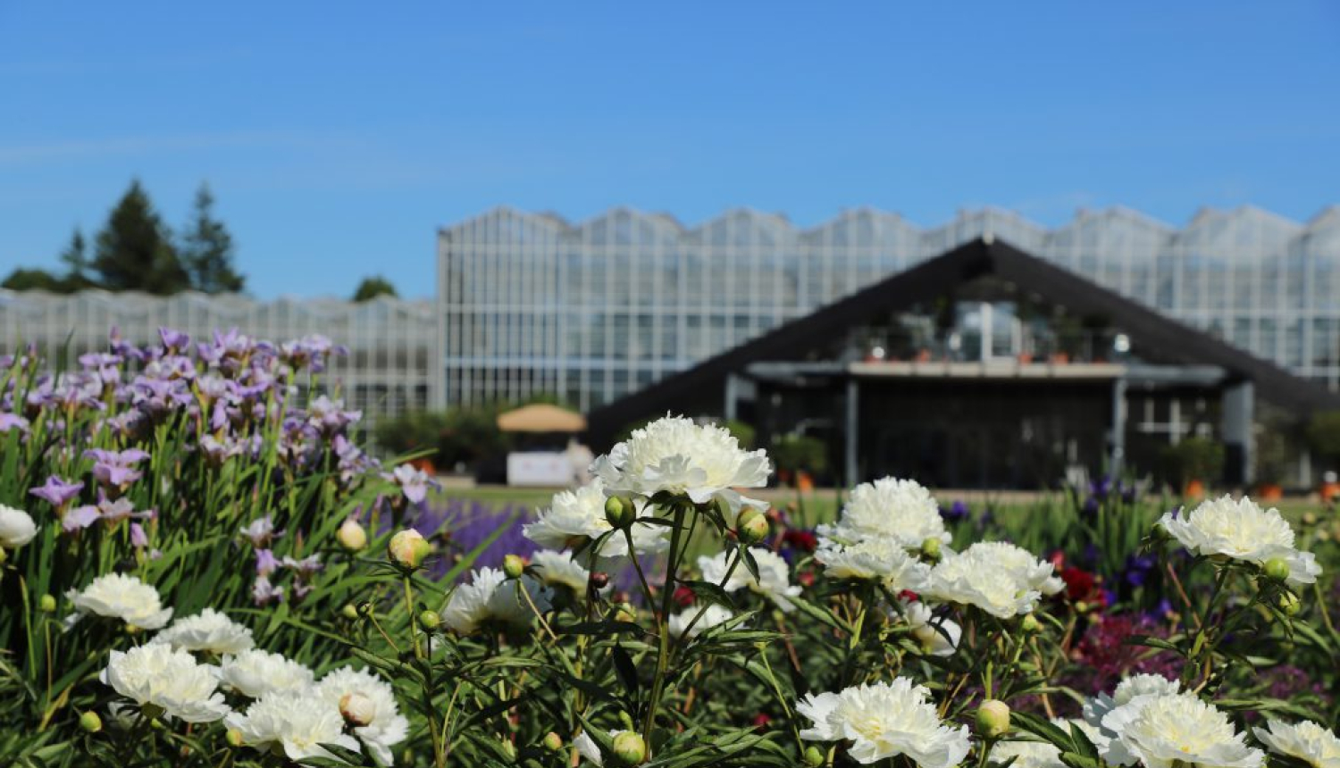 Latvijas Nacionālais botāniskais dārzs