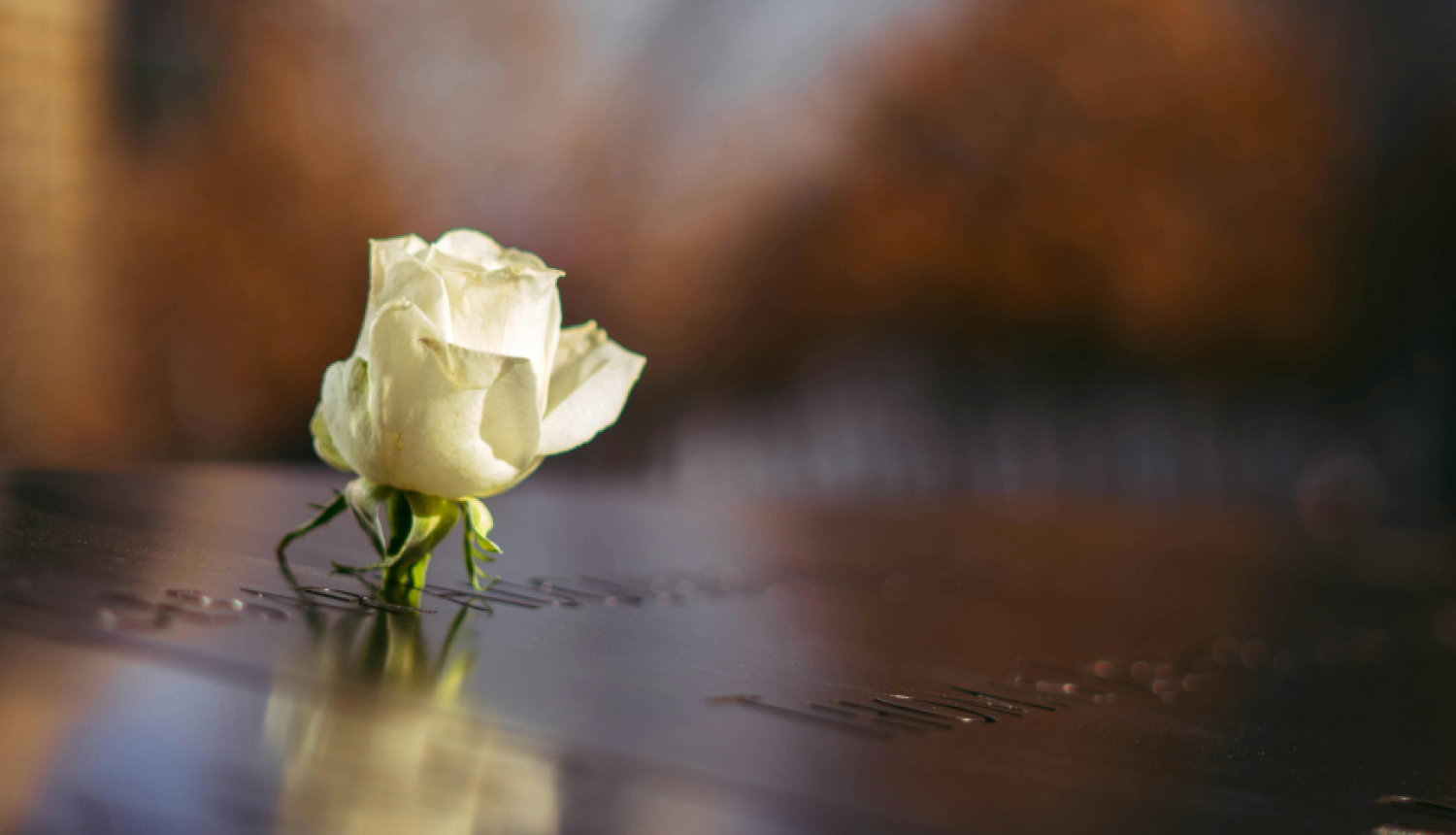 Kapsēta, zieds uz kapakmeņa