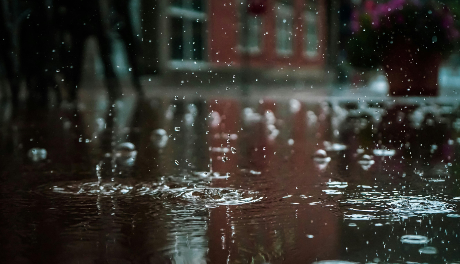 Peļķes, lietus, pilsēta