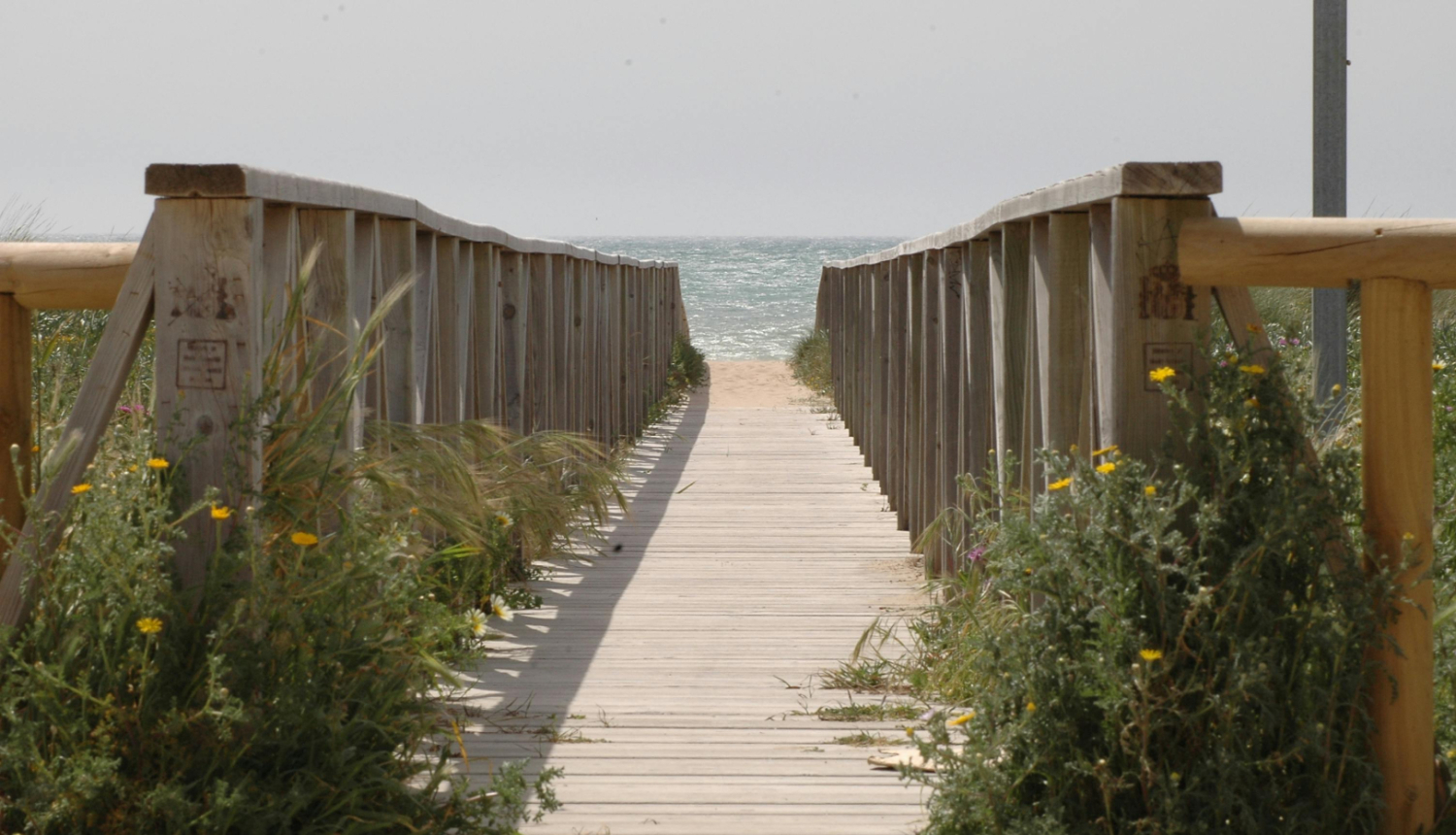 Vienkāršota kārtība atļaujām piekrastē – mazināts administratīvais slogs un pavērts ceļš jaunu tūrisma pakalpojumu attīstībai 